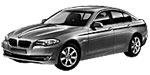 BMW F10 P265E Fault Code